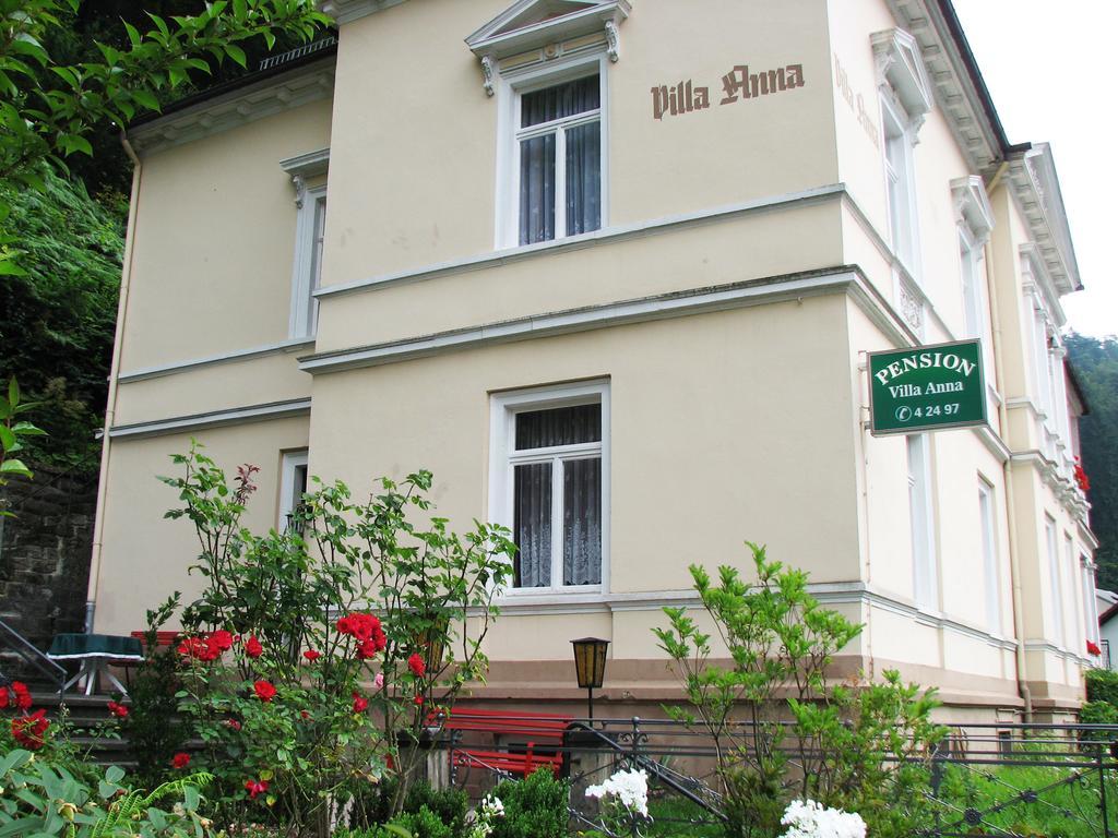 Pension Villa Anna Bad Schandau Exteriér fotografie